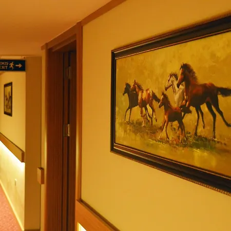 Hatipoglu Hotel Duzce